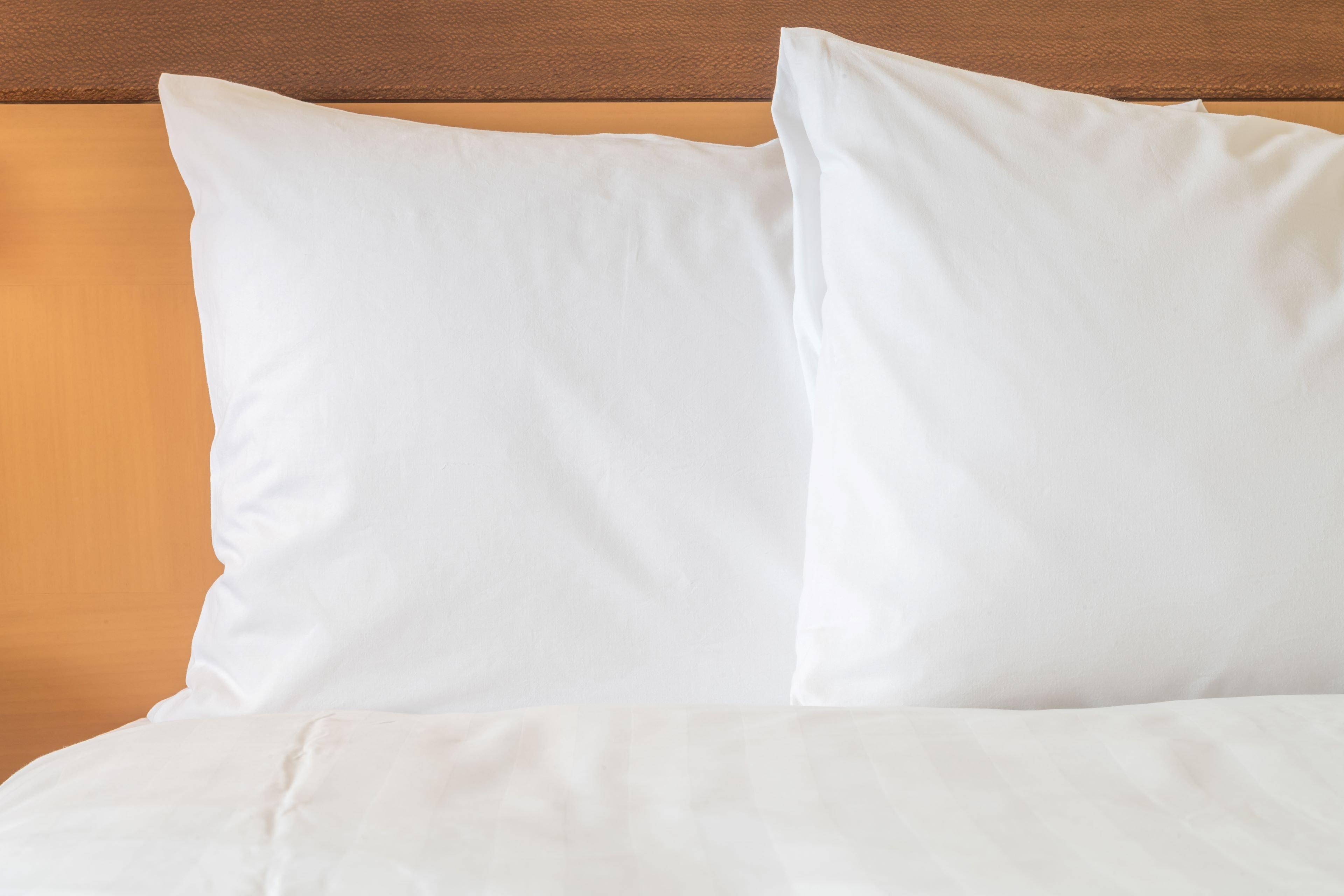 Holiday Inn Express Hotel & Suites Manchester Conference Center By Ihg Eksteriør bilde